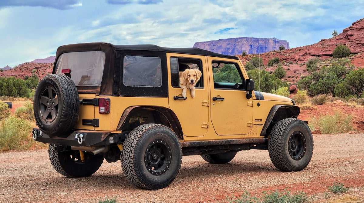 How to Deal With Dog Car Anxiety