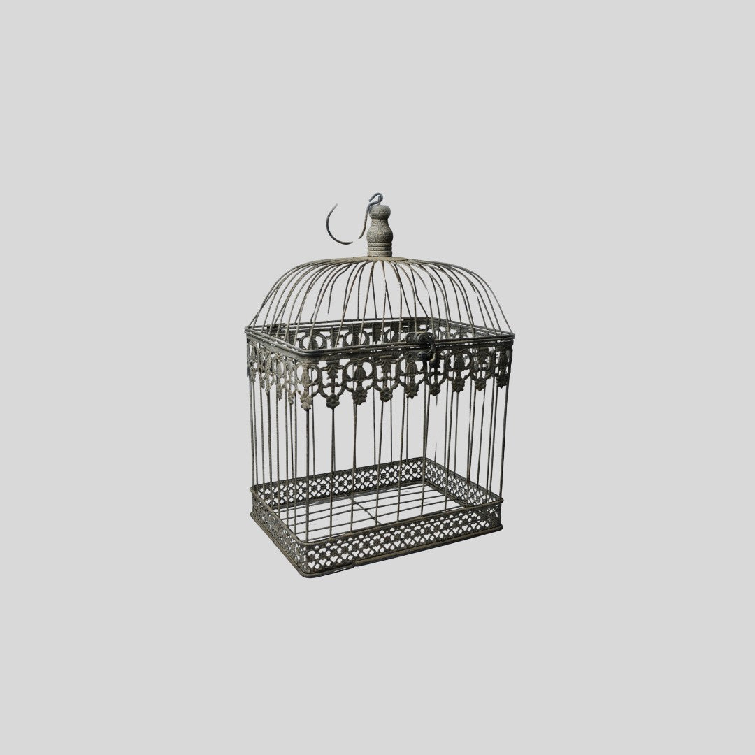 Buy Bird Cages & Accessories Dubai Petz.ae