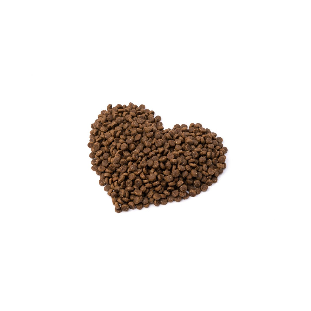 Buy Cat Grain-Free Food - Canagan, Orijen and Applaws | Petz.ae – Page 5