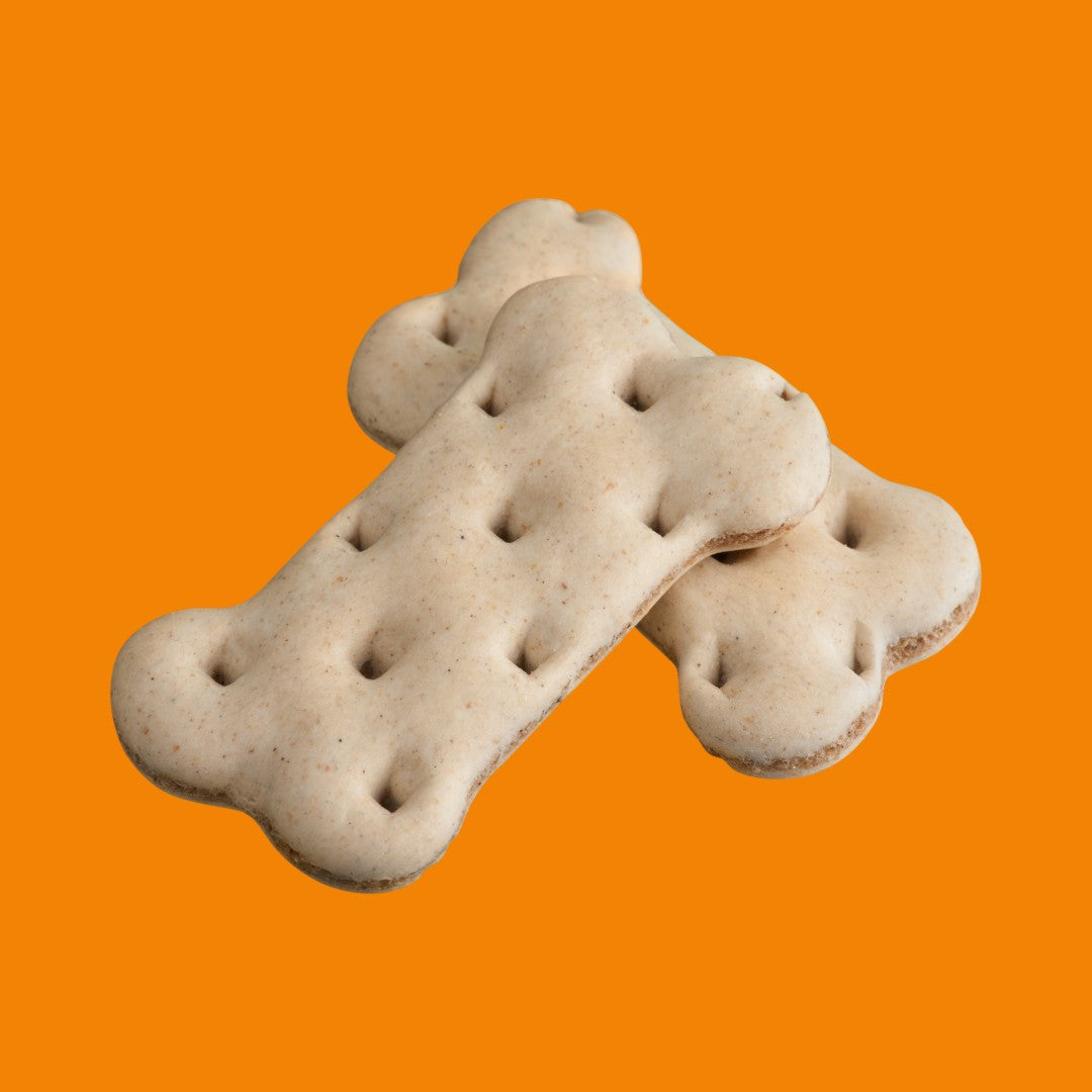 Dog Treats & Chews: Premium Selection for Your Pup in Dubai & the UAE