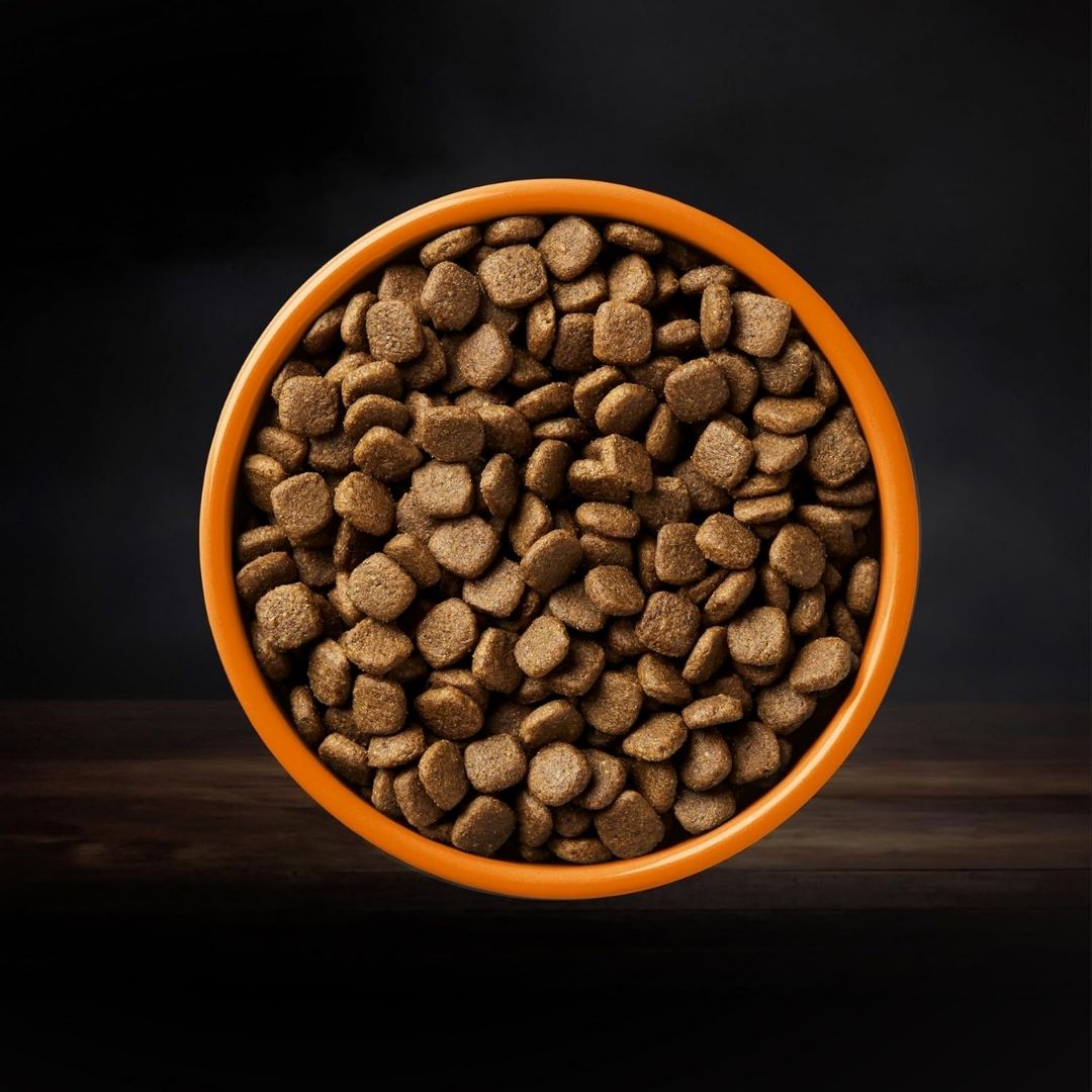 Close-up of AATU Free Run Chicken Dry Dog Food kibbles, highlighting texture and premium quality for dogs in Dubai and UAE.