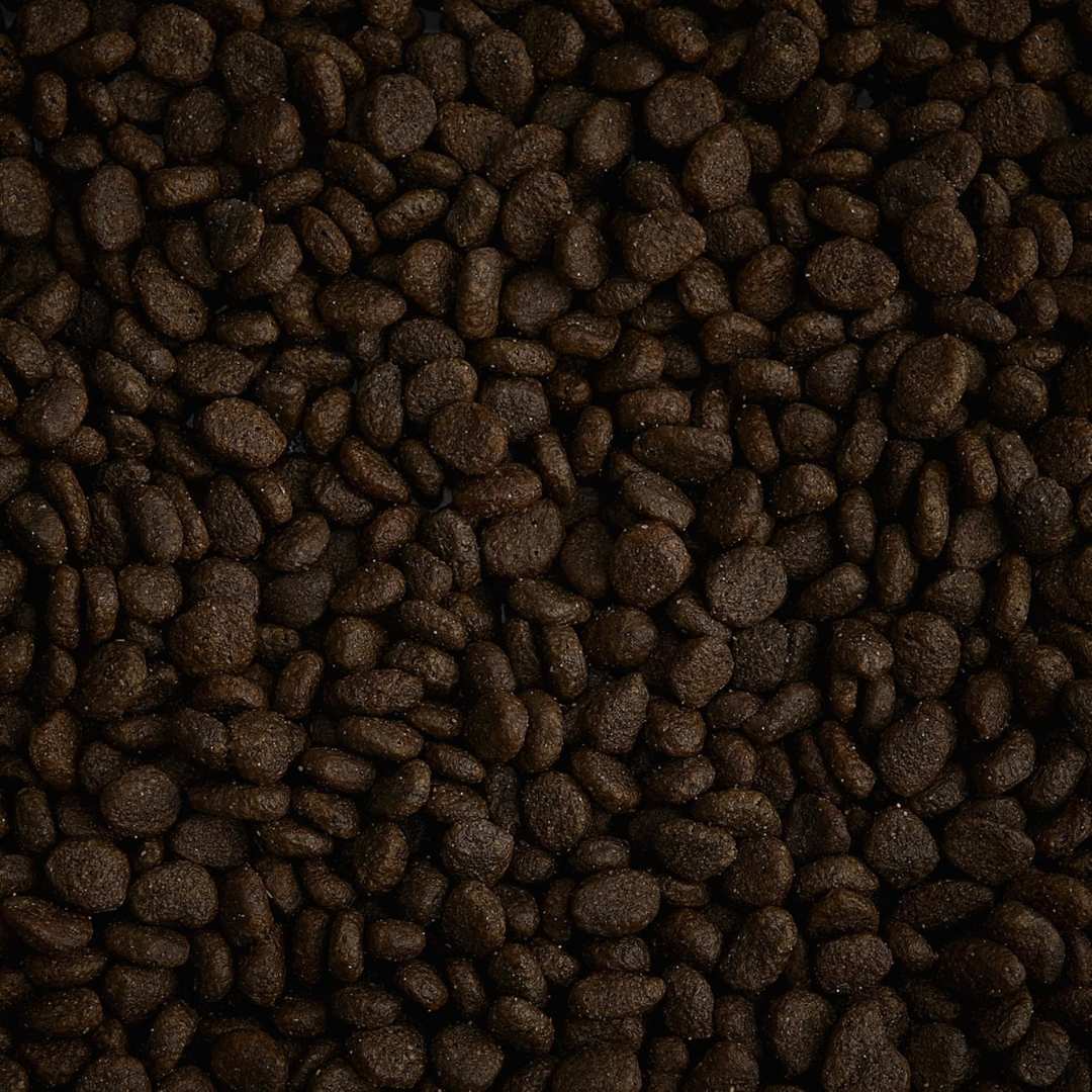 Close-up of AATU Free Run Duck Dry Cat Food kibbles, highlighting texture and quality tailored for cats in Dubai and UAE.