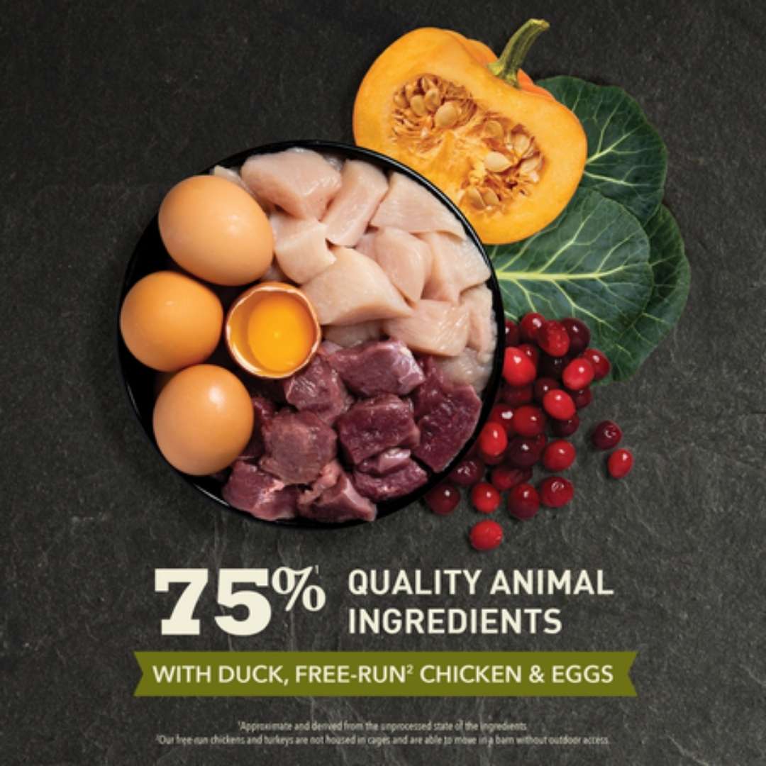 Image of Acana Grasslands Free-Run Chicken & Turkey All Life Stages Dry Cat Food - A premium dry cat food designed for optimal health with high-quality duck, chicken, and turkey ingredients.
