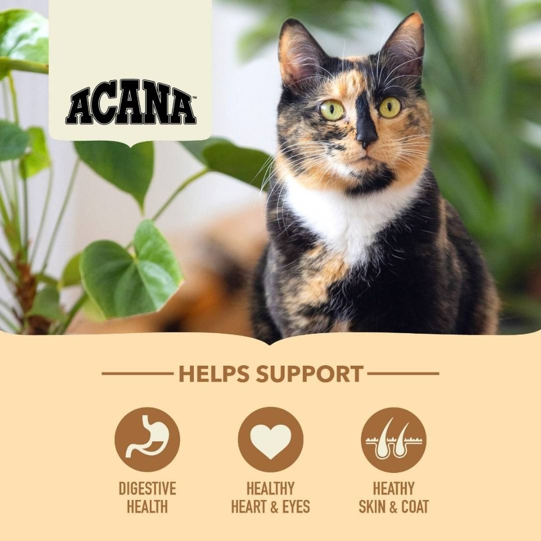 Image of Acana Homestead Harvest Free-Run Chicken & Turkey Adult Dry Cat Food - A premium dry cat food designed to support overall health with high-quality protein and essential nutrients.