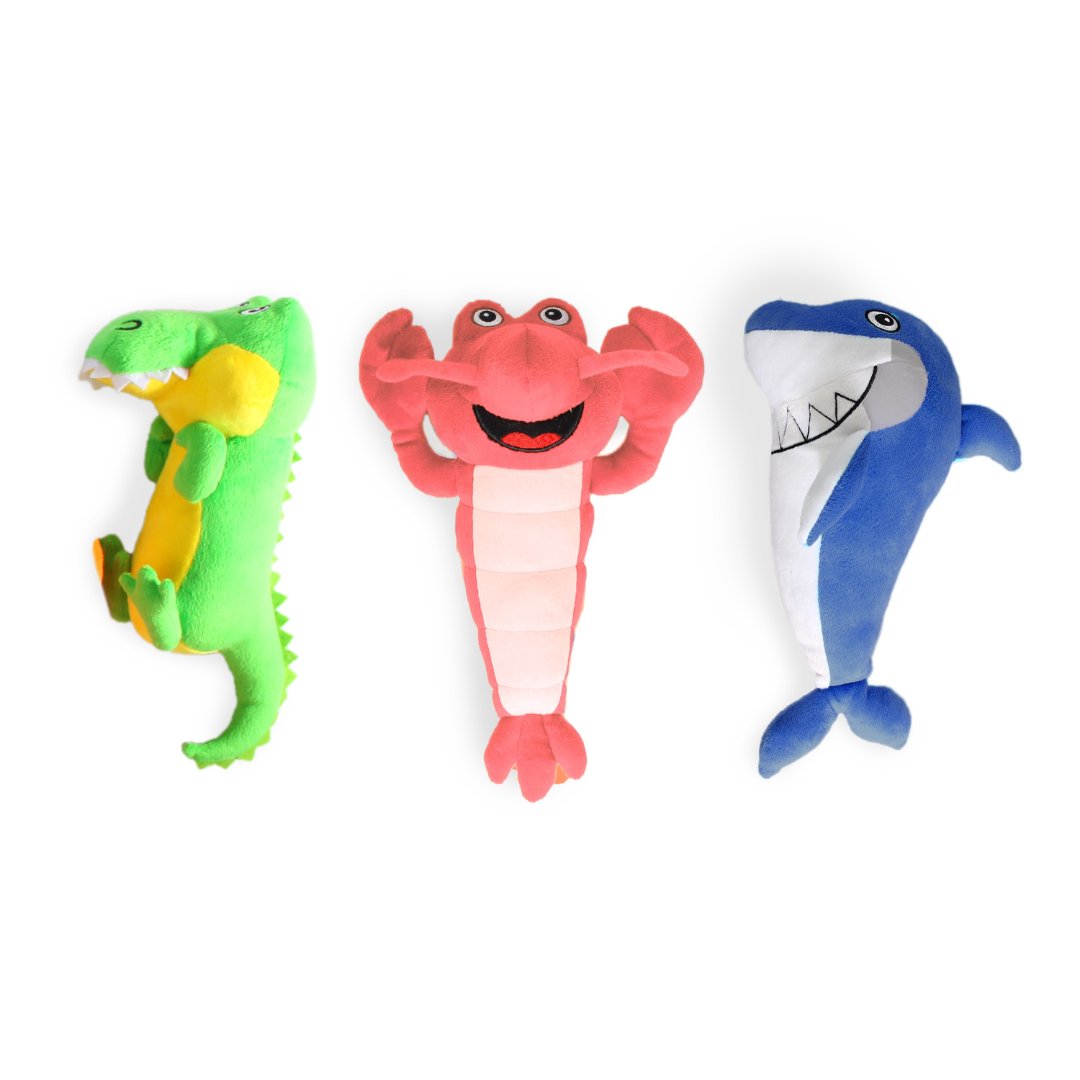 All For Paws Ocean Treasure Box Assorted Dog Toys