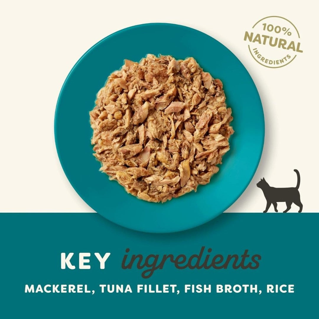 Applaws Ocean Fish Cat Wet Food – High Protein, Omega-Rich Nutrition for Adult Cats - Benefits.