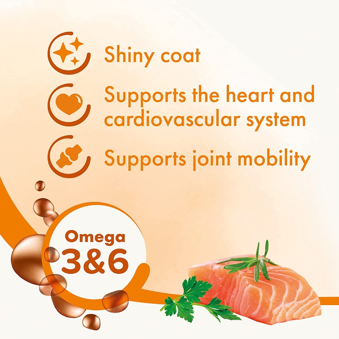 Beaphar Salmon Oil For Dogs and Cats - product image 2