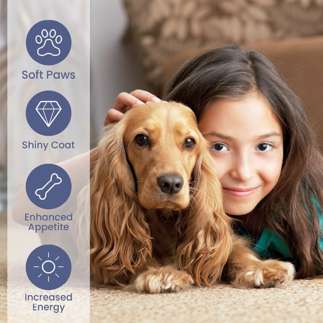 Brilliant Salmon Oil for dogs and cats product information