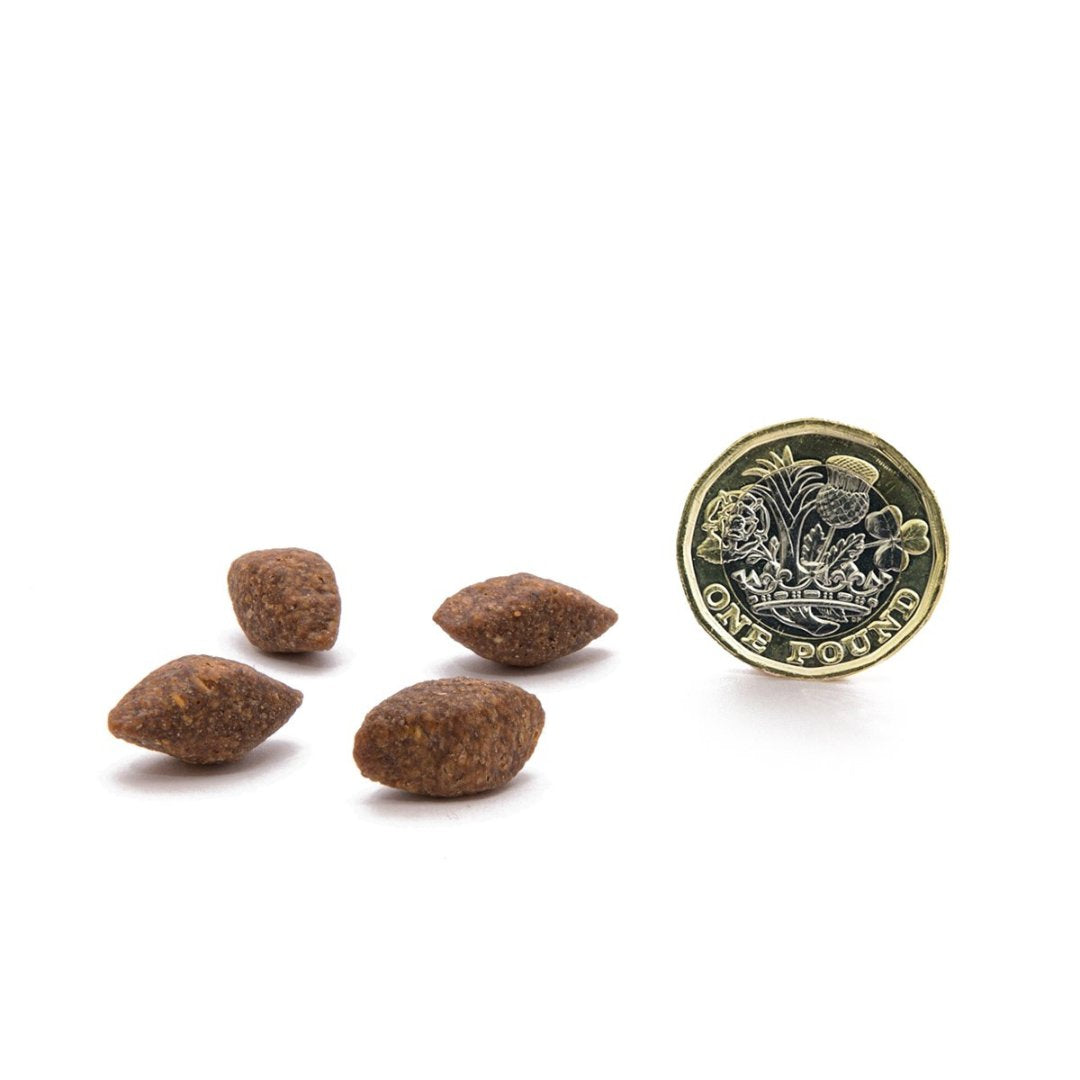 If your Dog has a sensitive stomach or allergies, Canagan Insect is the perfect recipe for them. It's a highly digestible and hypoallergenic meal - Kable Size.