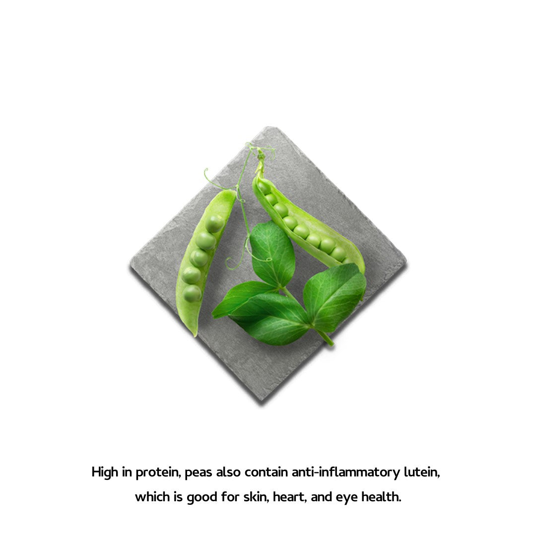 Shop Canagan Softies Duck Dog Treats | Petz.ae - Peas