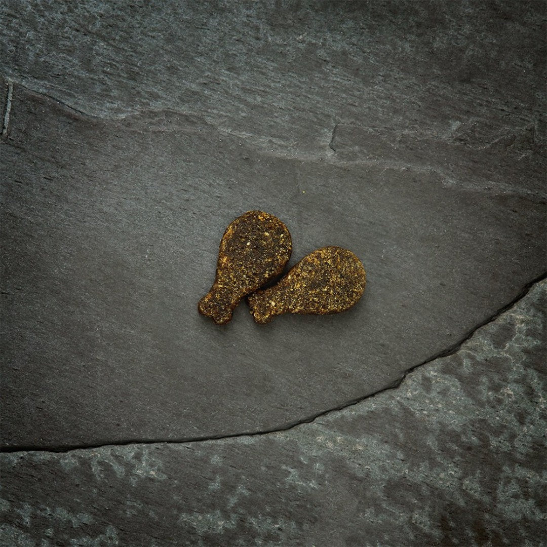 Buy Canagan Softies Quail Dog Treats | Petz.ae - Full