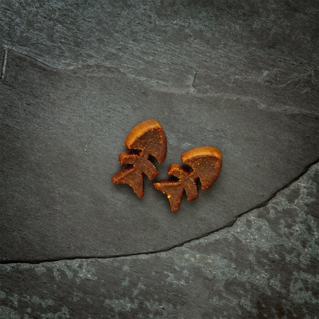 Canagan Softies Salmon Cat Treats