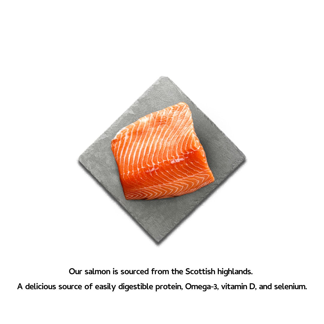 Shop Canagan Softies Salmon Dog Treats| Petz.ae