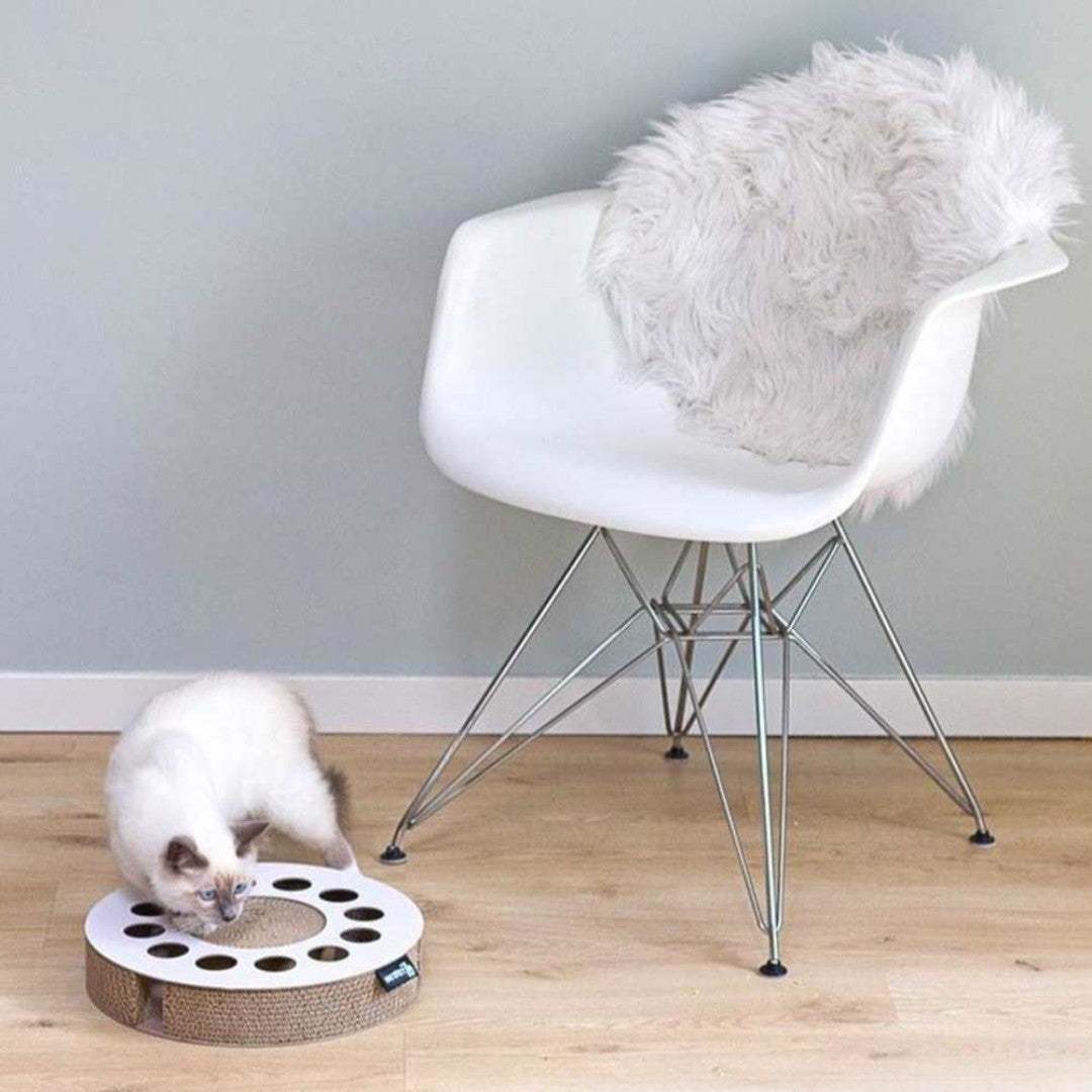 District 70 Whirl Cat Scratch Toy - Interactive and Fun Toy for Cats in Dubai - AD
