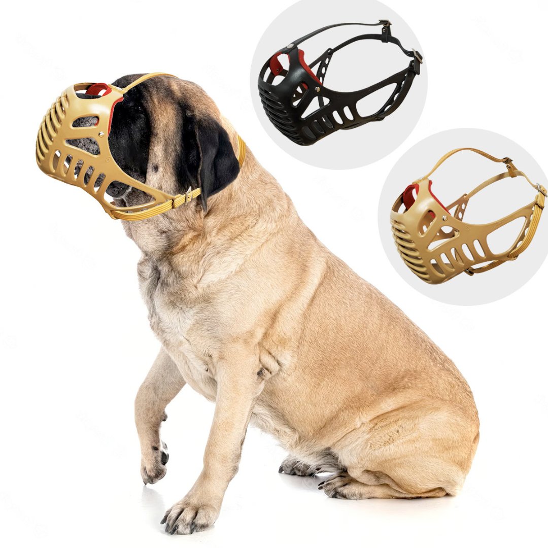 Dog Fever Muzzle leather band and plastic basket. It's specially designed for molosser dogs and made of durable, resistant plastic. Ideal for Boxers, Bullmastiffs, and other breeds with short and thick snouts.