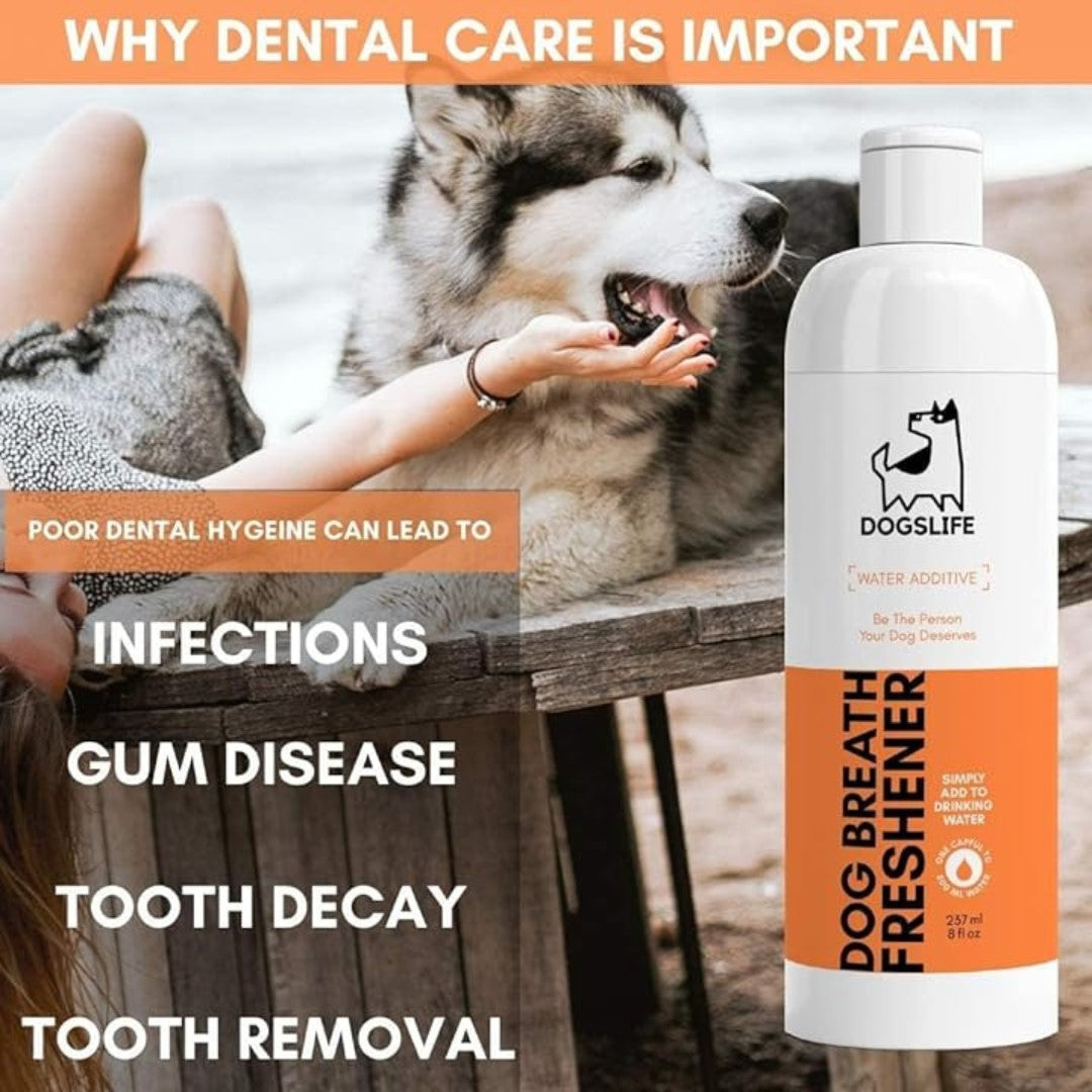 DogsLife Dog Breath Freshener Water Additive - Benefits