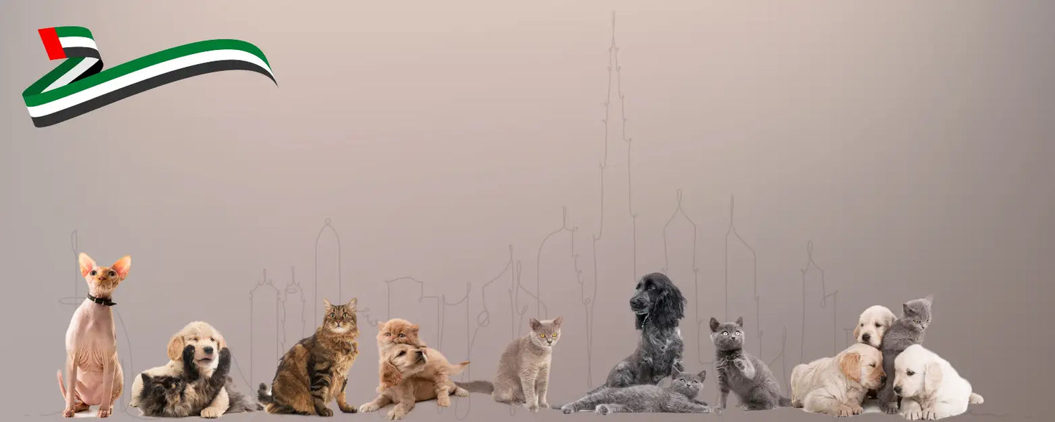 Pet Shop in Dubai