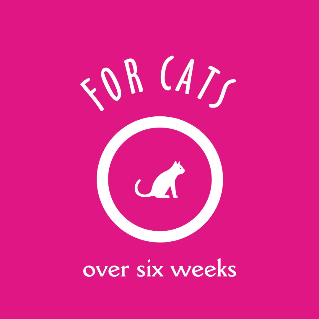 Earthbath 2-in-1 Conditioning Cat Shampoo - product image 4