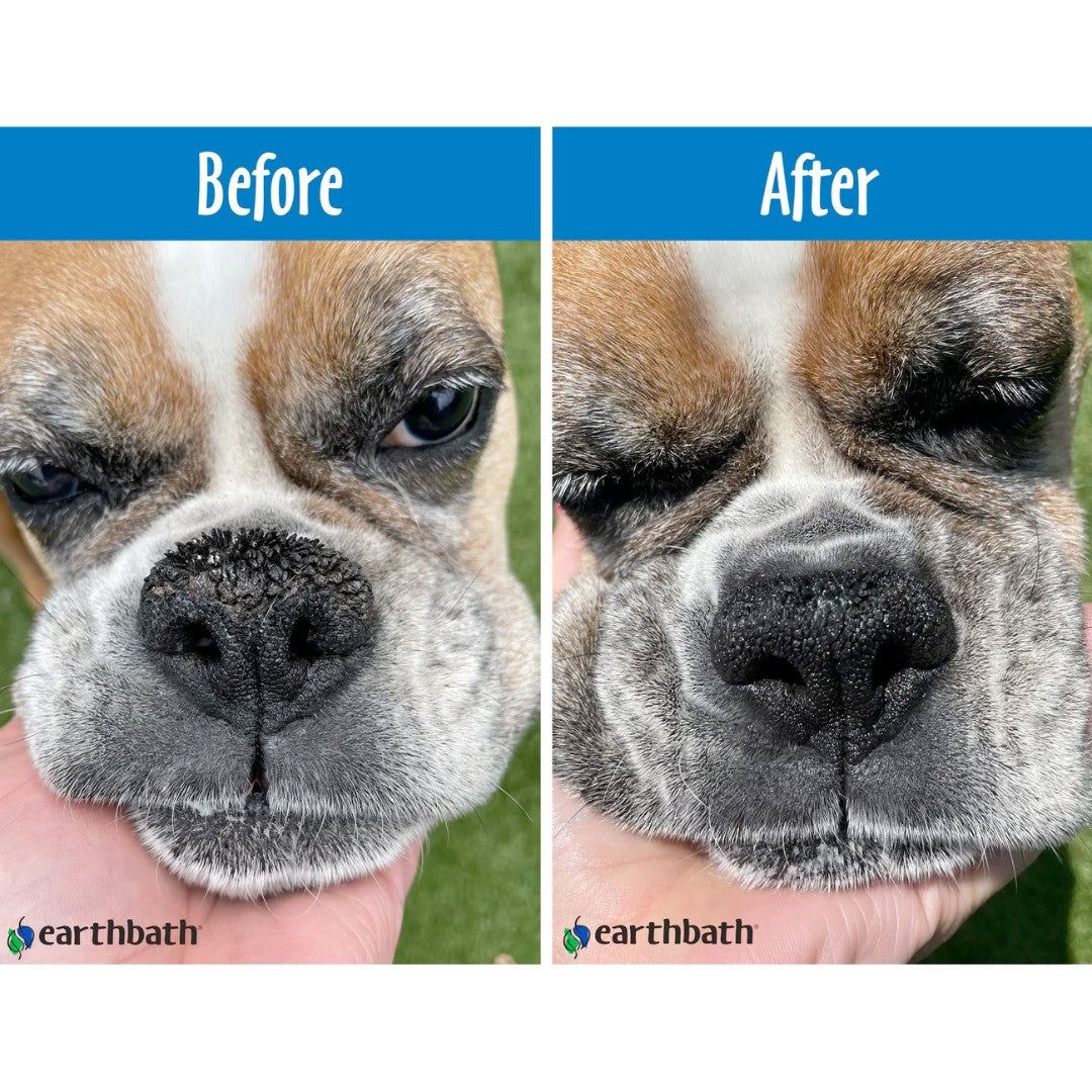 Earthbath Treatment Balm for Dogs & Cats - product image 4