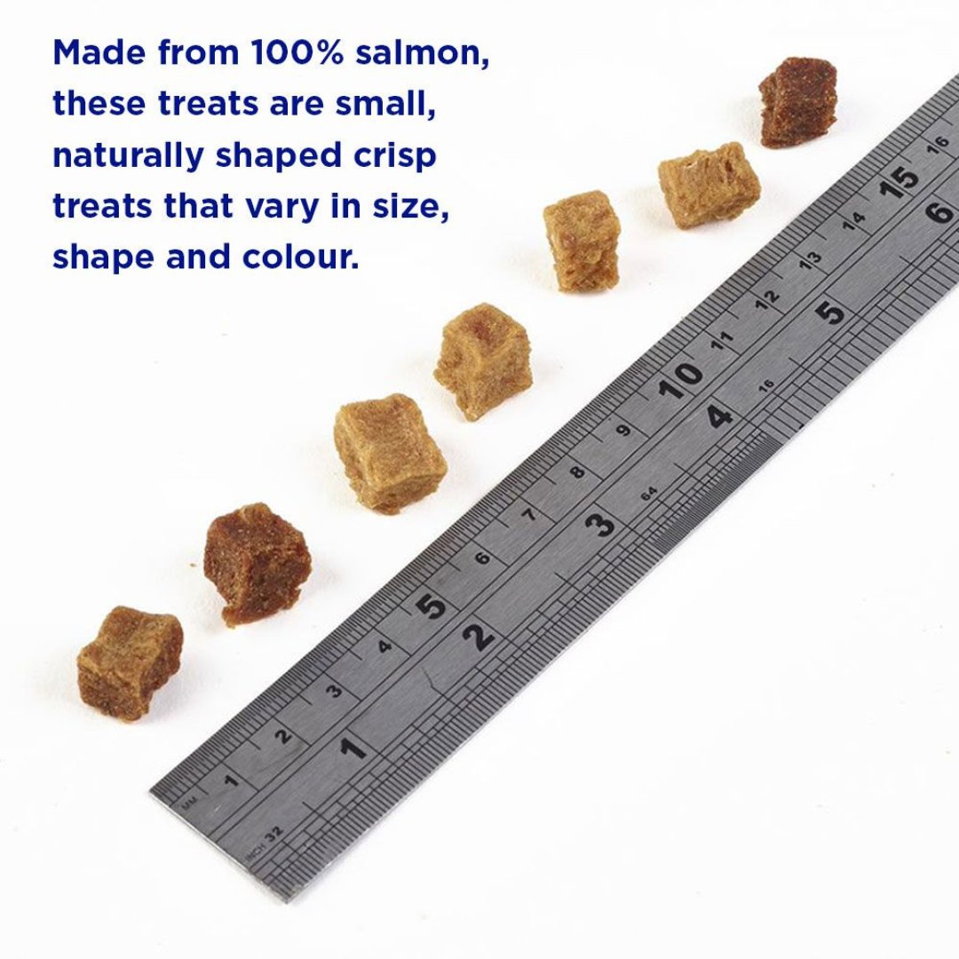 Fish4Dogs Salmon Training Puppy Treats - Kibble Size