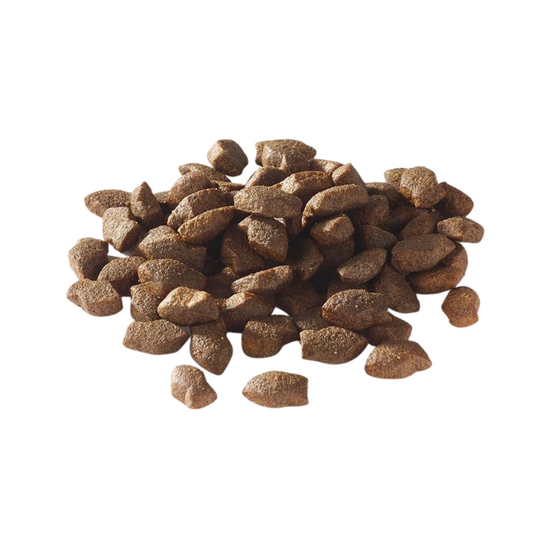 Fish4Dogs Support+ Salmon Mini Morsels Puppy Treats - Small Salmon Treats for Puppies with Glucosamine and Chondroitin - Kibbles