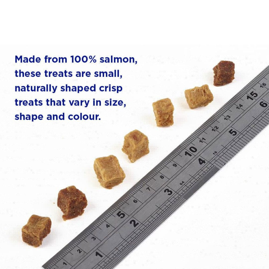 Fish4Dogs Training Salmon Bites Dog Treats - Pure Salmon Training Treats. - Kibble Size