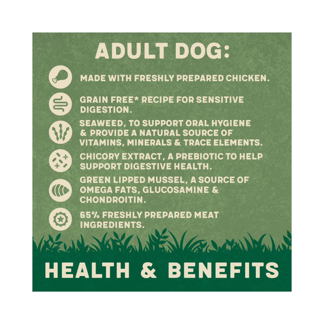 Harringtons Chicken Wet Dog Food - Wholesome Nutrition for Dogs in Dubai - Food Beneifts
