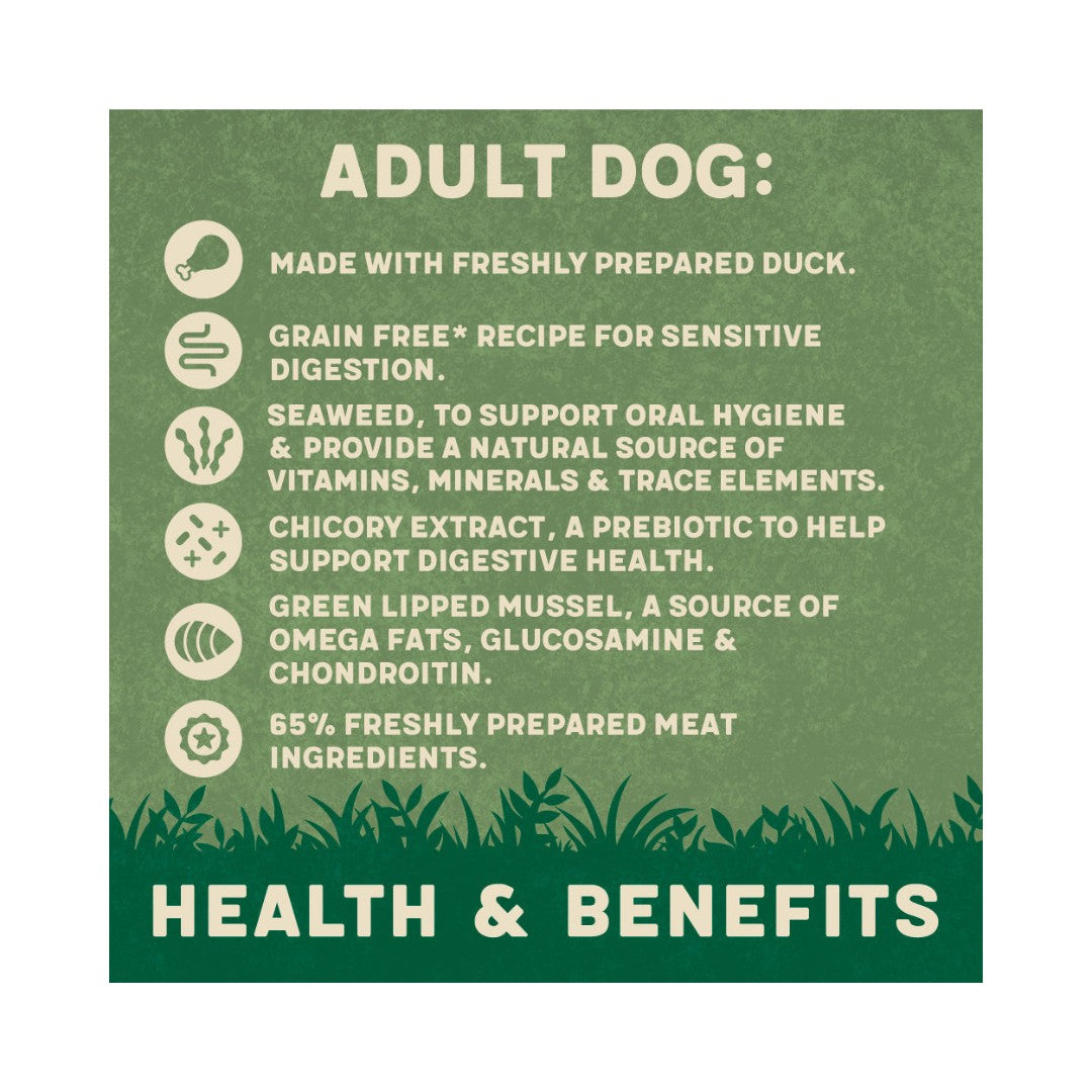 Harrington's Grain-Free Wet Dog Food with Duck, Potato, and Vegetables - a delicious and nutritious meal that your dog will love benefits.