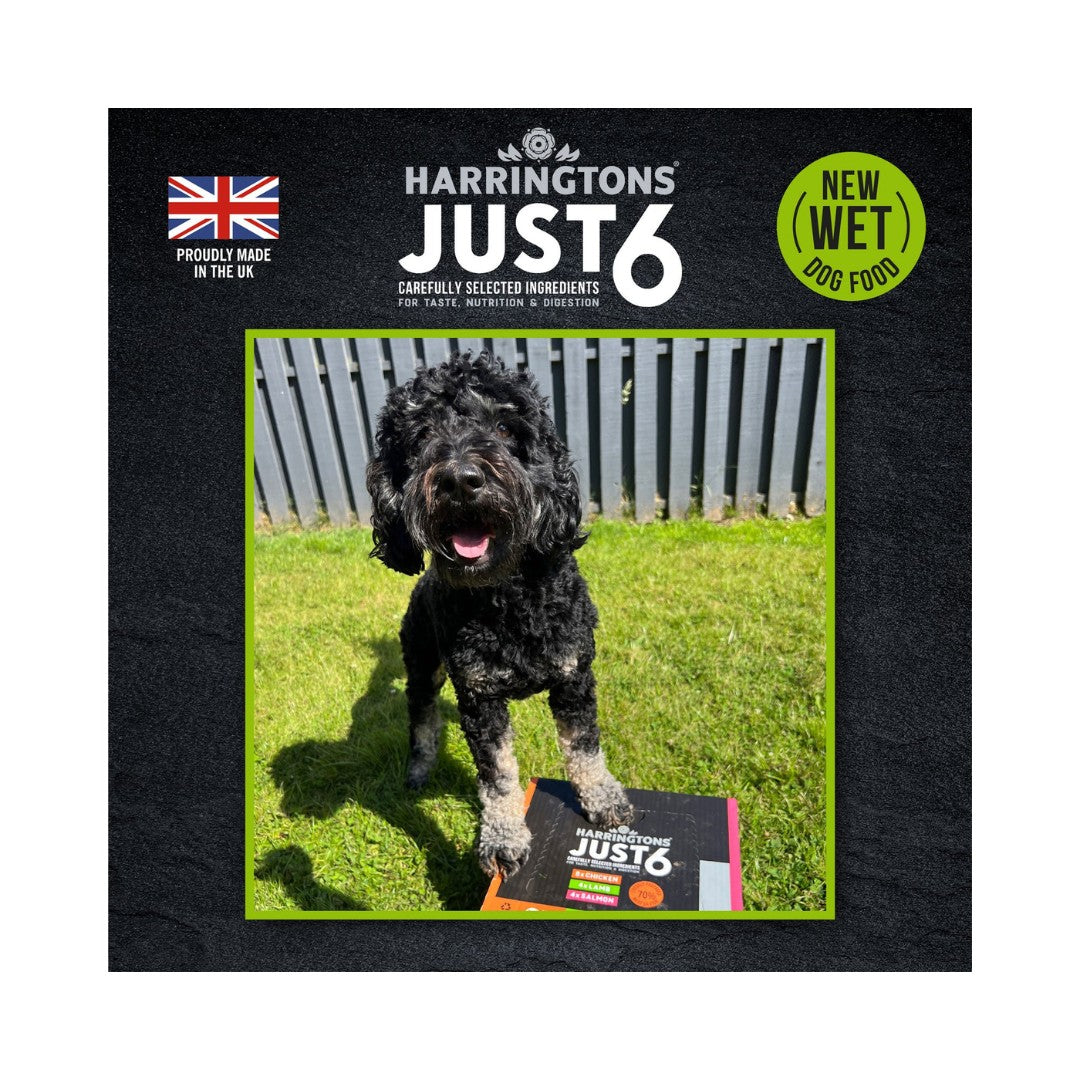 Harringtons Just 6 lamb with vegetables in a delicious gravy, is a complete dog food that includes six ingredients for optimal taste, nutrition, and digestion - AD.