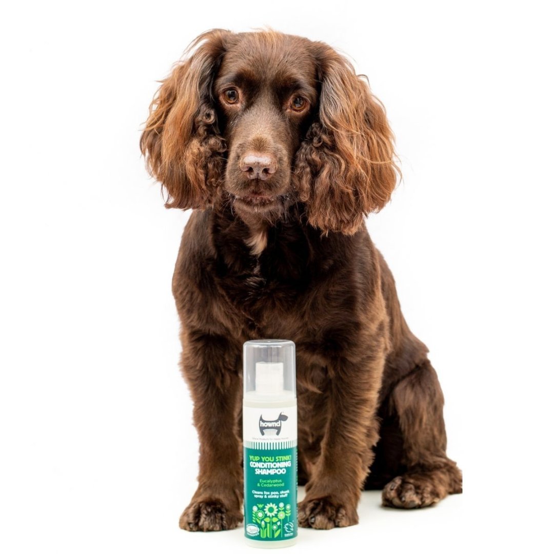 Howd, Yup, You Stink! Dog Shampoo—A happy dog with a fresh, clean coat surrounds a bottle of dog shampoo AD with Puppy