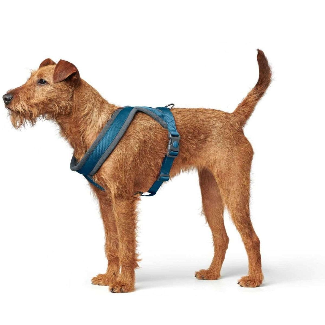 Hunter London Comfort Dog Harness AD