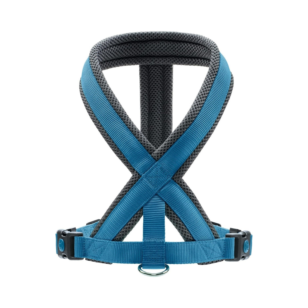 Hunter London Comfort Dog Harness Blue Color Back