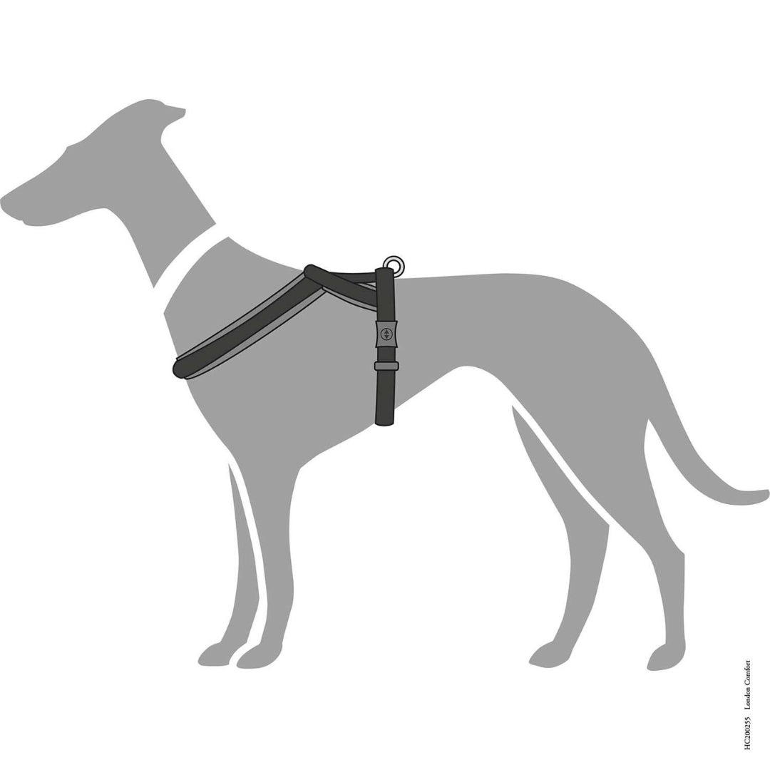 Hunter London Comfort Dog Harness Size