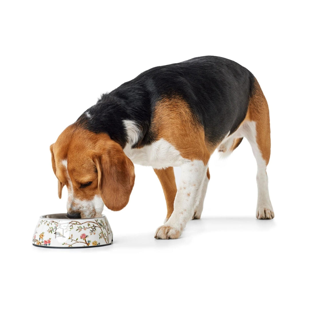 Hunter Melamine Mogami Dog Bowl - AD1