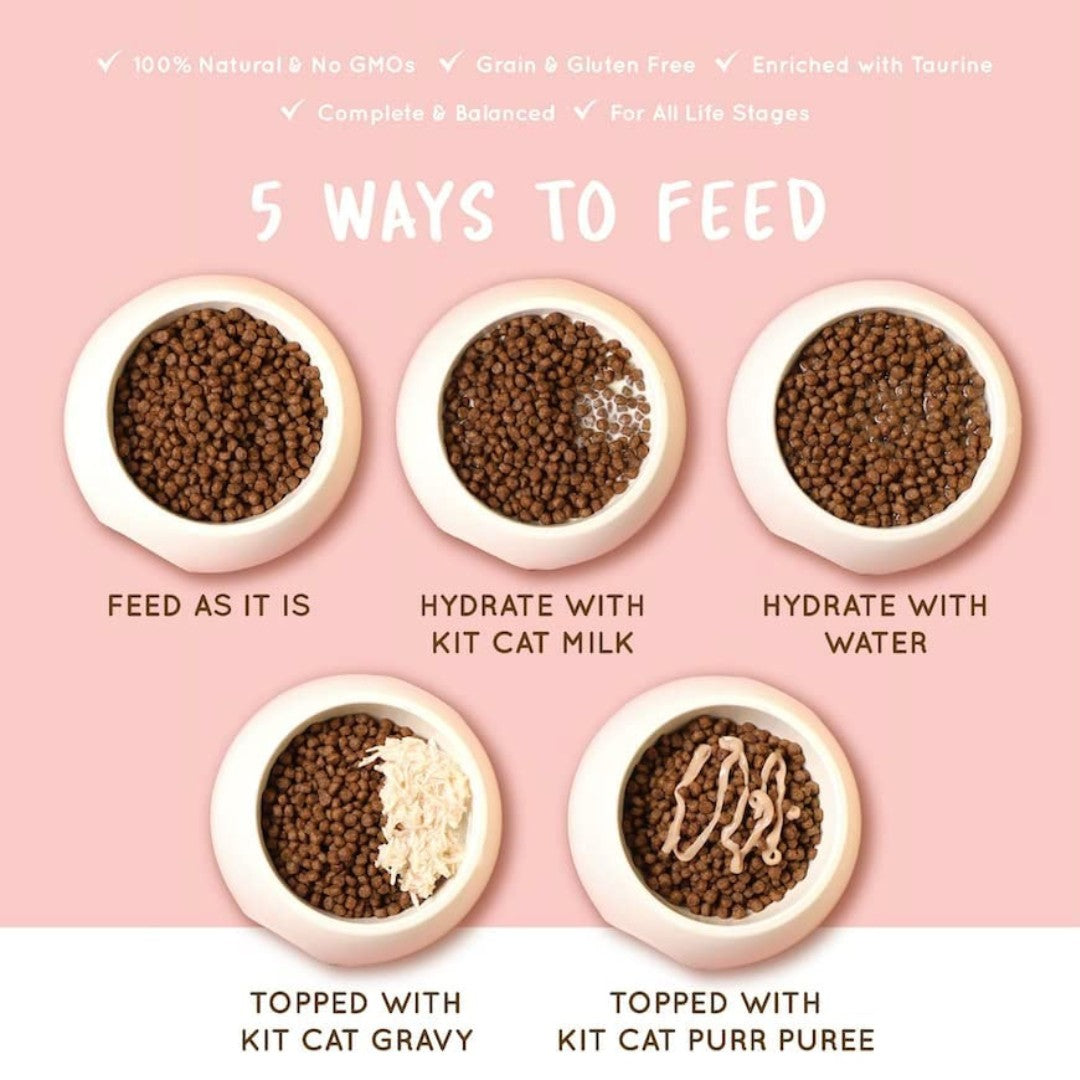 Kit Cat No Grain Kitten Dry Food is crafted with premium ingredients for a grain-free diet. It helps to improve gut health and maintains a shiny coat How to feed kitten.