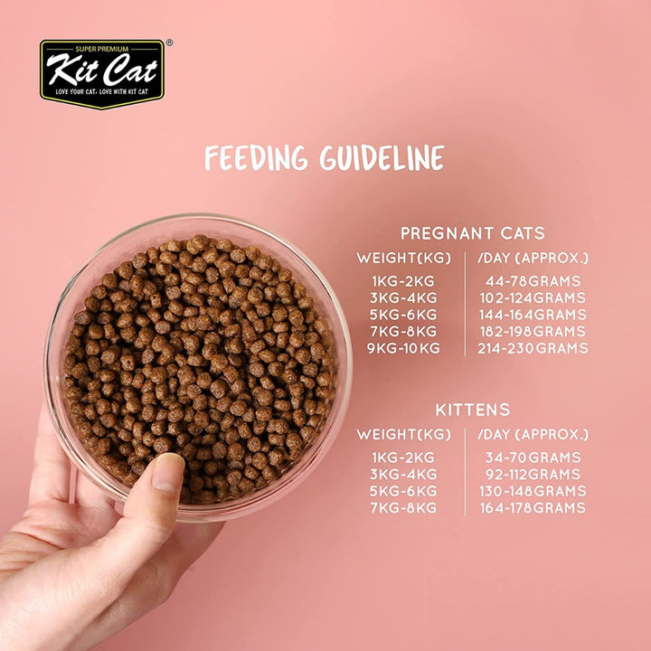 Kit Cat No Grain Super Premium Cat Dry Food with Tuna & Salmon is a grain-free recipe packed with nutrients to promote a healthier gut and a shinier coat 2.