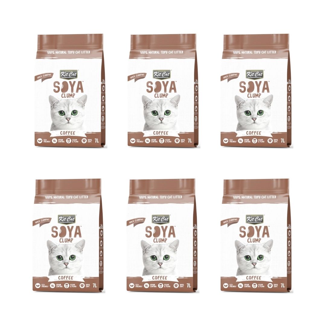 Natural Coffee-Scented Cat Litter UAE