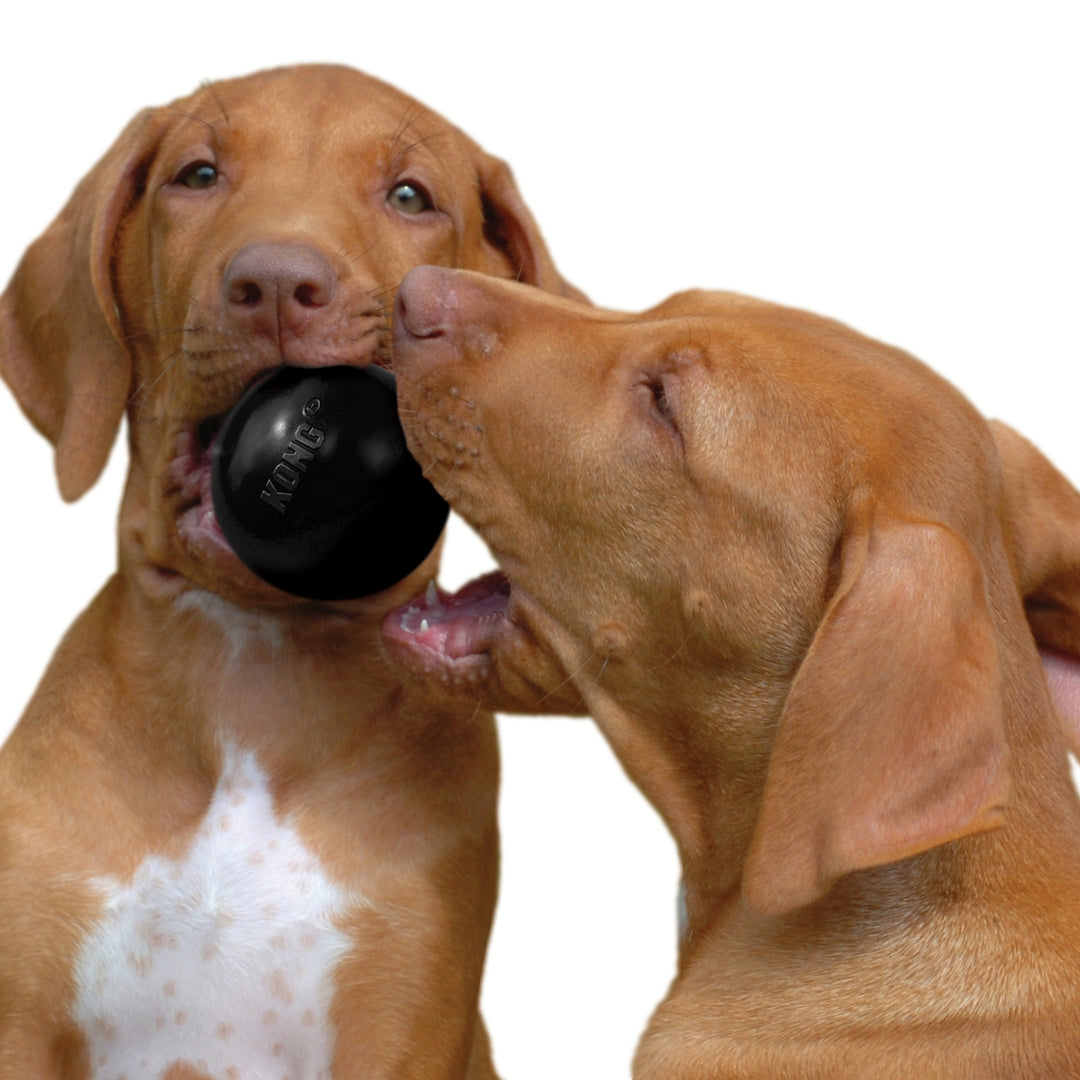 Kong Ball Extreme Dog Toy AD1