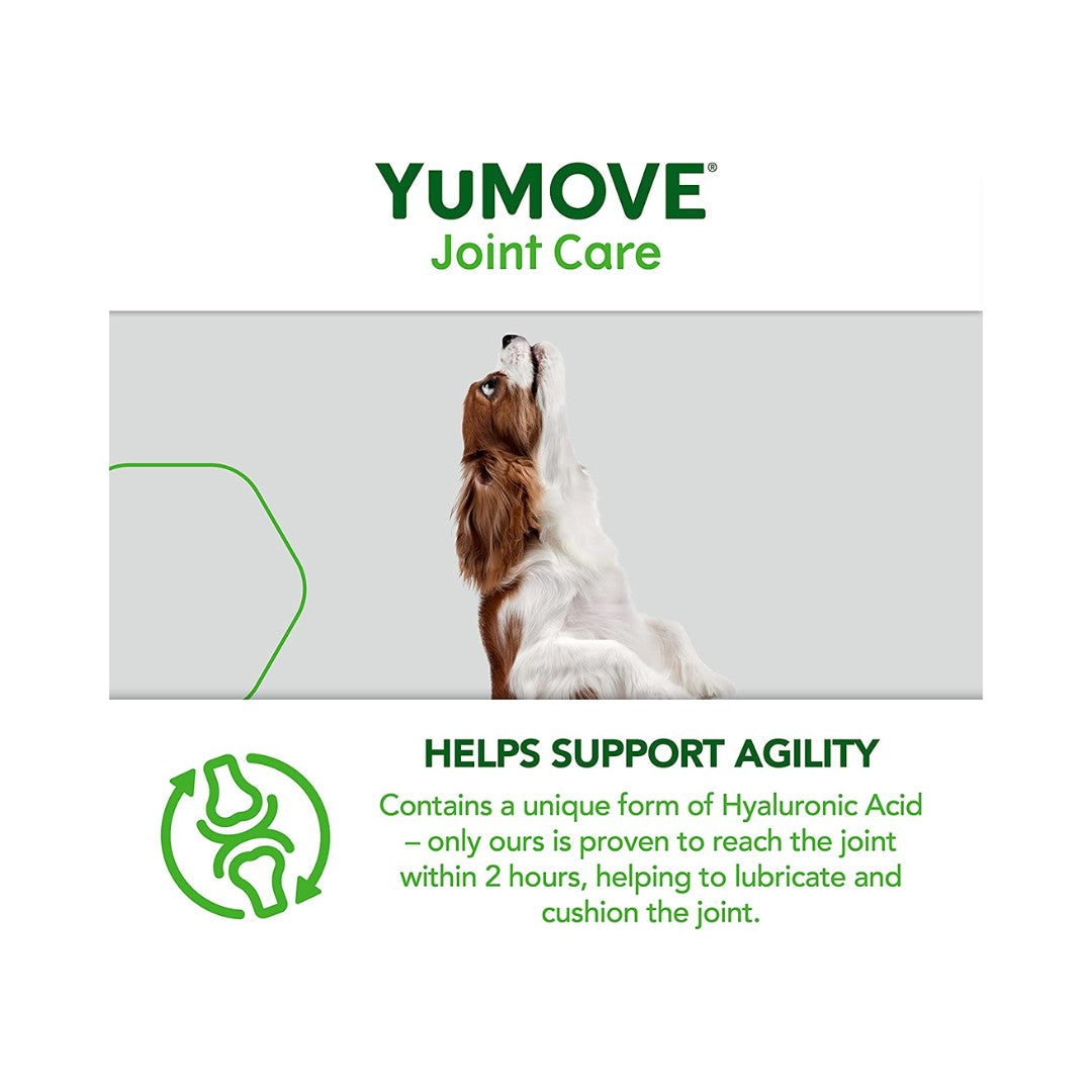 Lintbells Yumove Young and Active 60 Tablets may be the answer. This supplement is clinically proven to improve joint flexibility and maintain supple joints in as little as 6 weeks AD.
