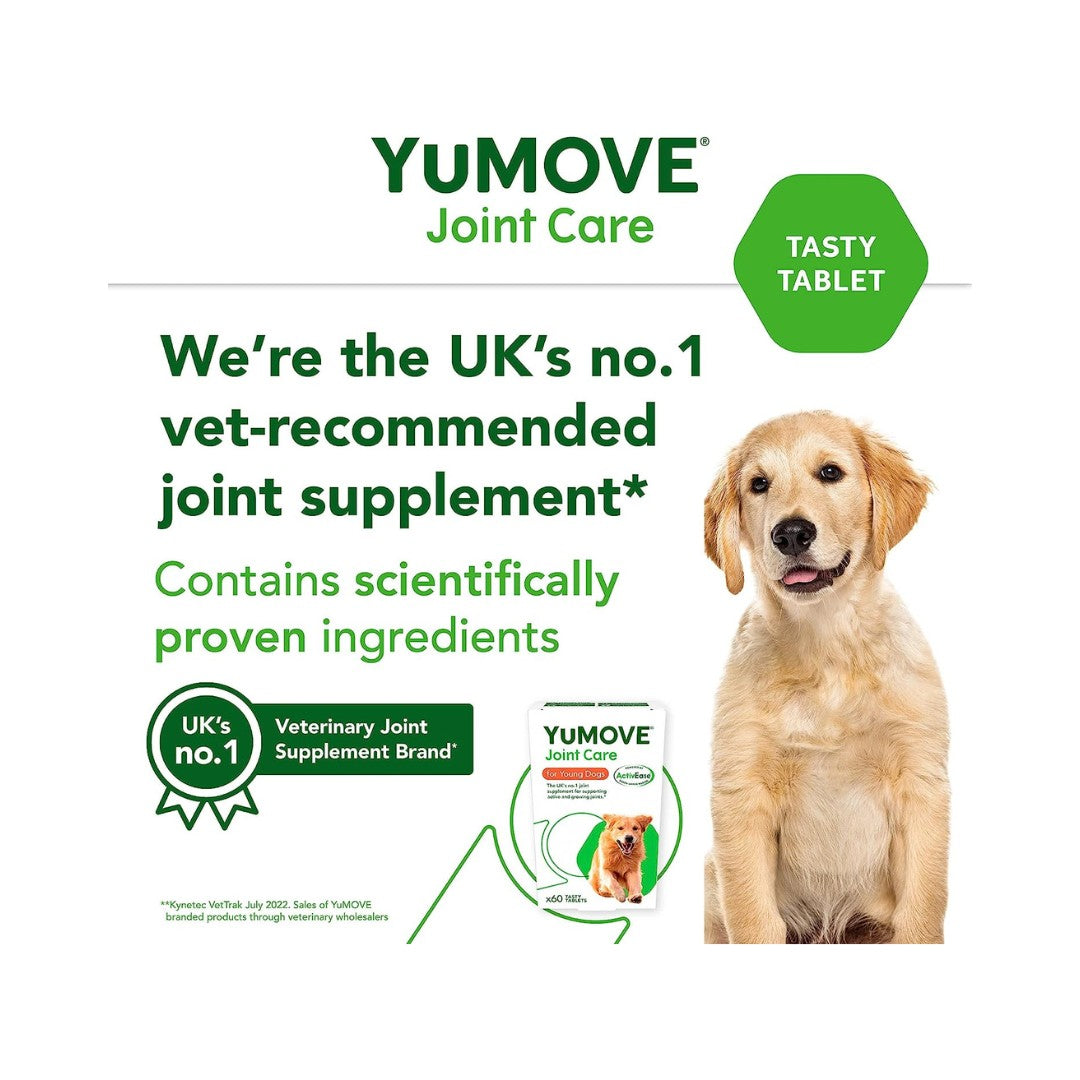 Lintbells Yumove Young and Active 60 Tablets may be the answer. This supplement is clinically proven to improve joint flexibility and maintain supple joints in as little as 6 weeks Tablets.