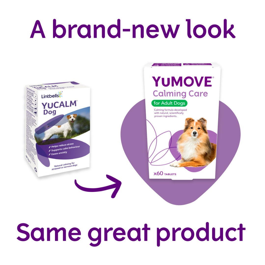 YuMOVE Calming Care for Adult Dogs contains scientifically proven ingredients that effectively reduce dog stress, support calm behavior, and ease anxiety New.