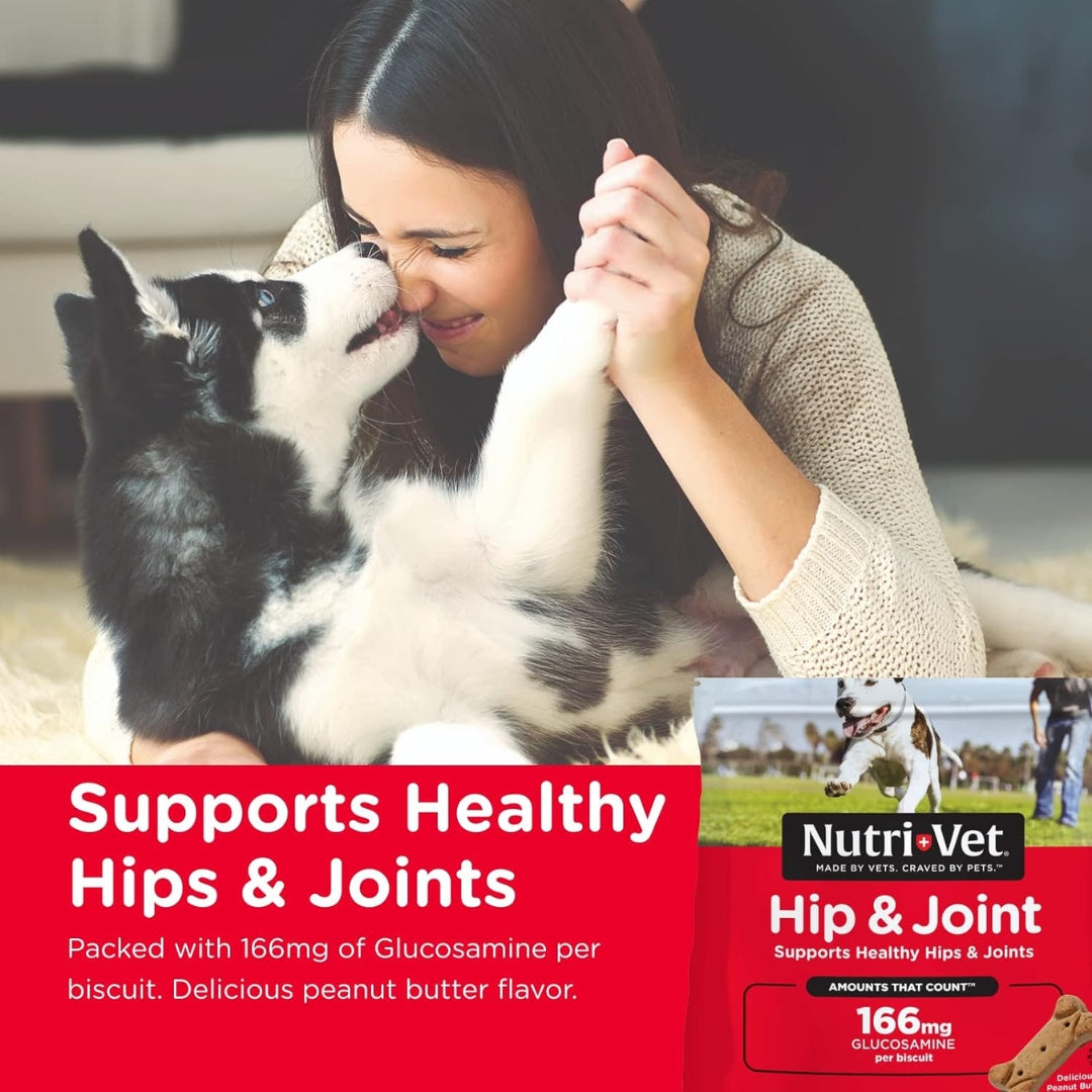 Nutri-Vet Hip & Joint 166mg Biscuits for Dogs - Image 5
