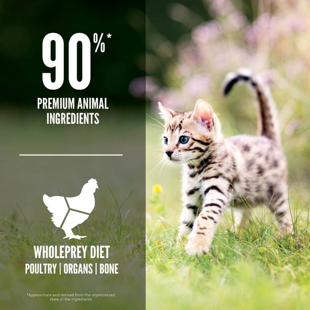 Orijen Kitten Dry Food. The first five ingredients are fresh or raw poultry and fish, preserved through refrigeration or flash-freezing at peak freshness - ingredients .
