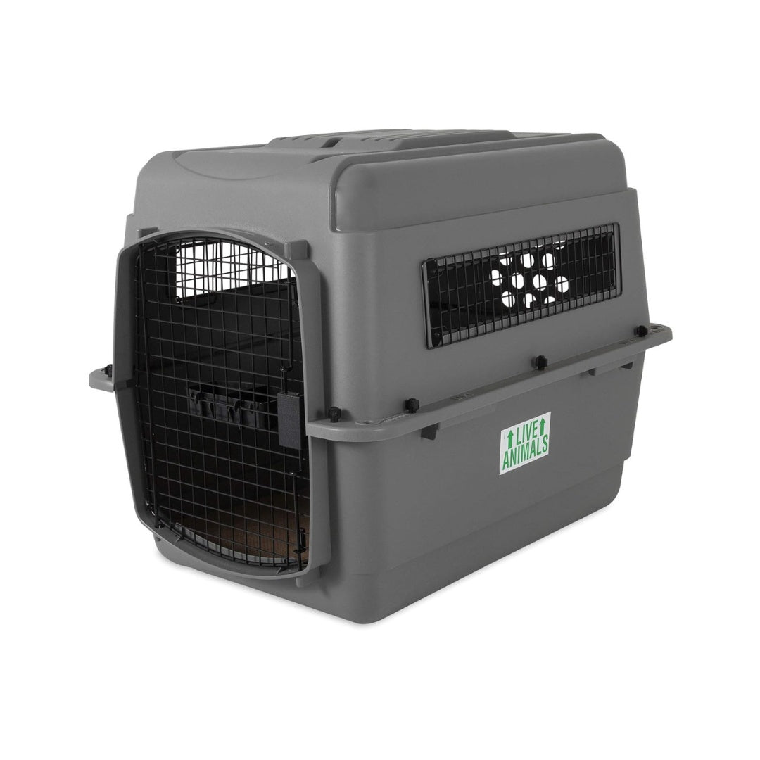 Petmate Sky Kennel Pet Travel Carrier IATA approved - Intermediate