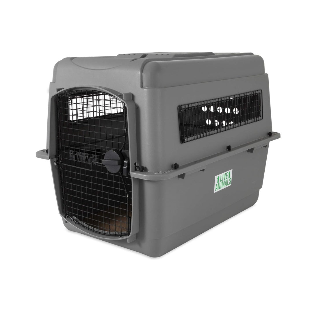Petmate Sky Kennel Pet Travel Carrier IATA approved - Large
