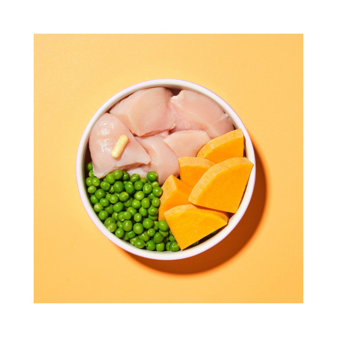 Pooch & Mutt Chicken Pumpkin & Pea Dog Wet Food