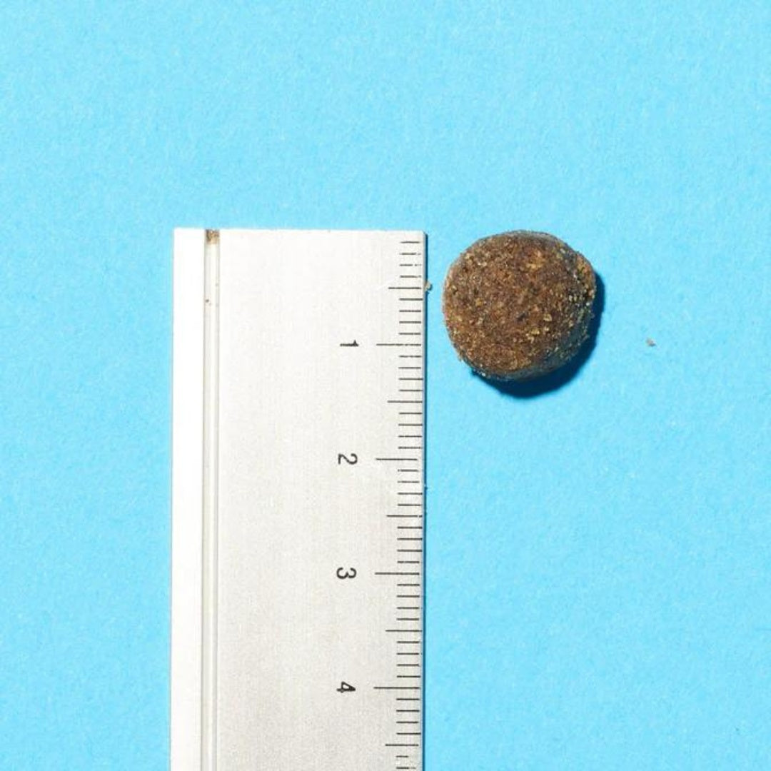 Pooch & Mutt Health & Digestion Dog Dry Food - Kibble Size Ruler