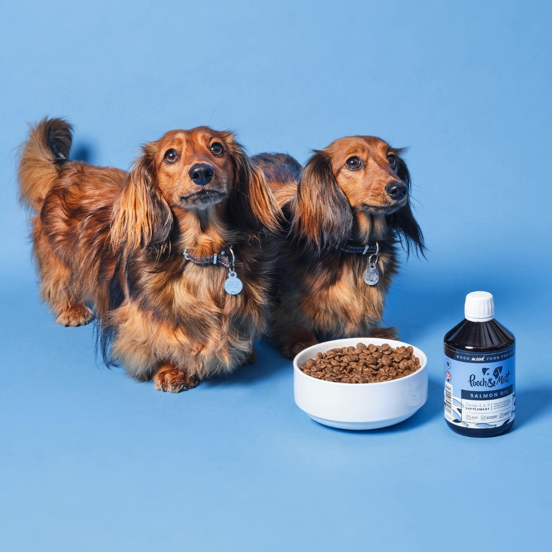 Pooch & Mutt Salmon Oil for Dogs - AD