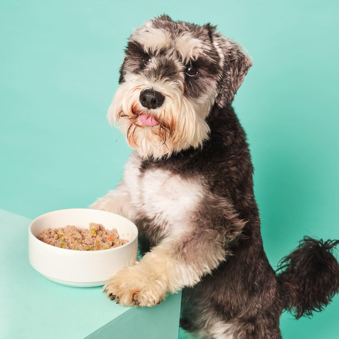 Pooch & Mutt Turkey & Duck Wet Dog Food 375g - Image 6
