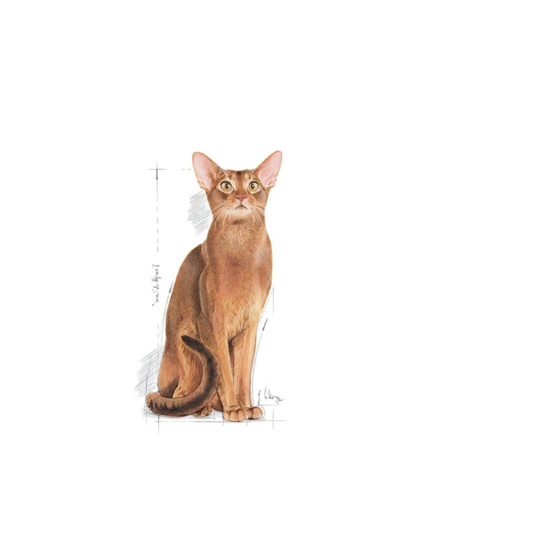 Royal Canin Exigent Protein Cat Dry Food - 2kg front pack - AD